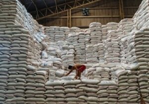 گم شدن ۱ میلیون تن برنج شدنی است؟