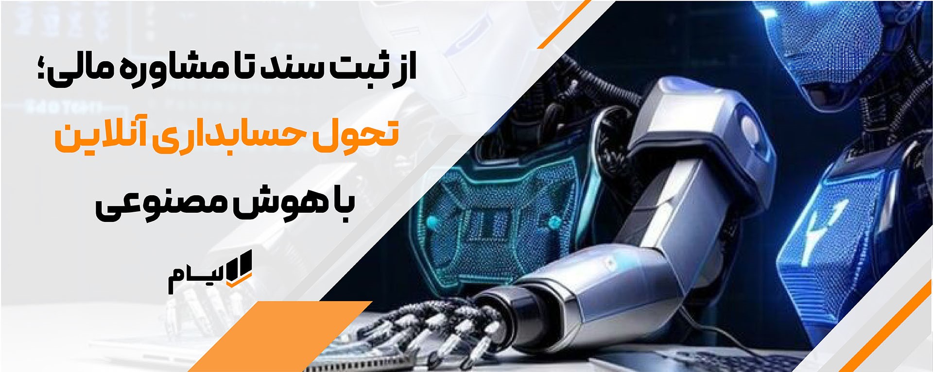 نرم افزار حسابداری آنلاین و ابری لیام