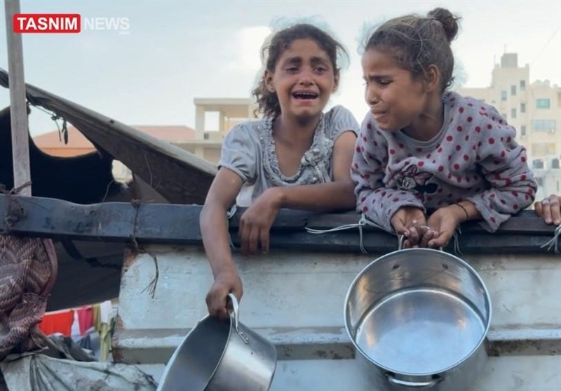 جباری: تداوم بی‌عملی کشورهای غربی آنها را در جنایات غزه شریک می‌کند