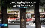 حیات چنارهای ولیعصر در دست شهرداری