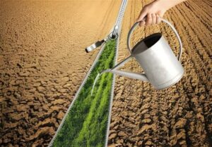 درخواست وزارت کشاورزی از نیرو برای ارائه برنامه‌ مدون مصرف آب کشاورزی