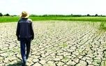 هشدار کشاورزان از دل ناترازی انرژی، تهدیدی تازه برای امنیت غذایی