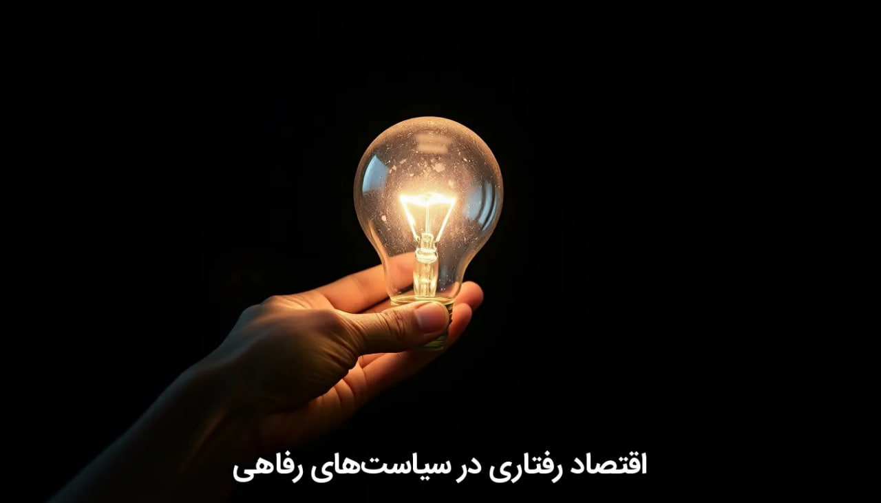 اقتصاد رفتاری در سیاست‌های رفاهی
