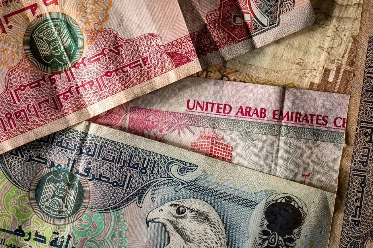 قیمت درهم امارات امروز سه شنبه 2دی/ درهم افزایشی شد + جدول کامل