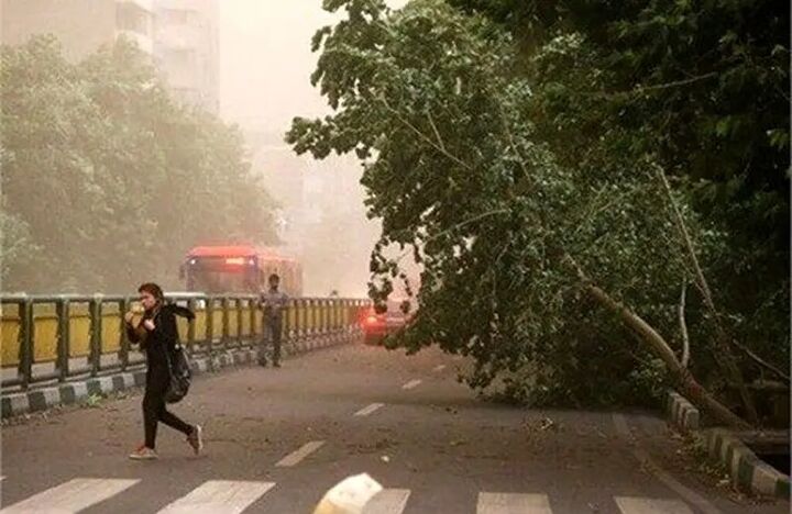 هشدار افزایش سرعت وزش باد در تهران