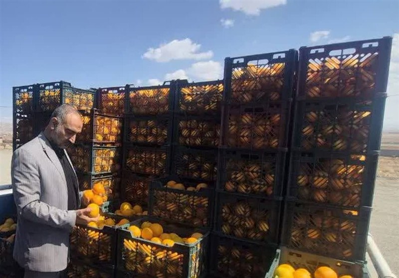 اختصاصی|محدودیت واردات کشاورزی با ارز اشخاص برداشته شد